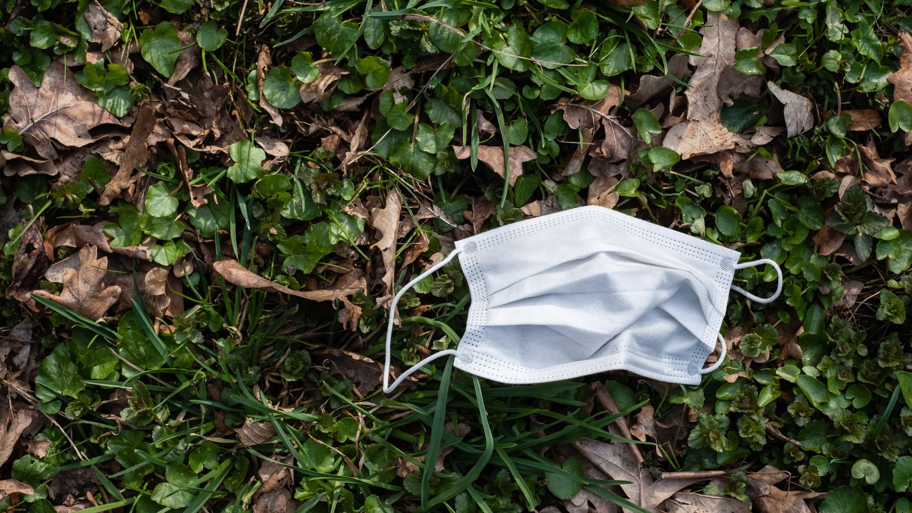 6012dcf82500000819e23bea