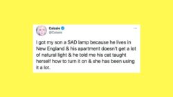 60147ede4100005b0042db1a