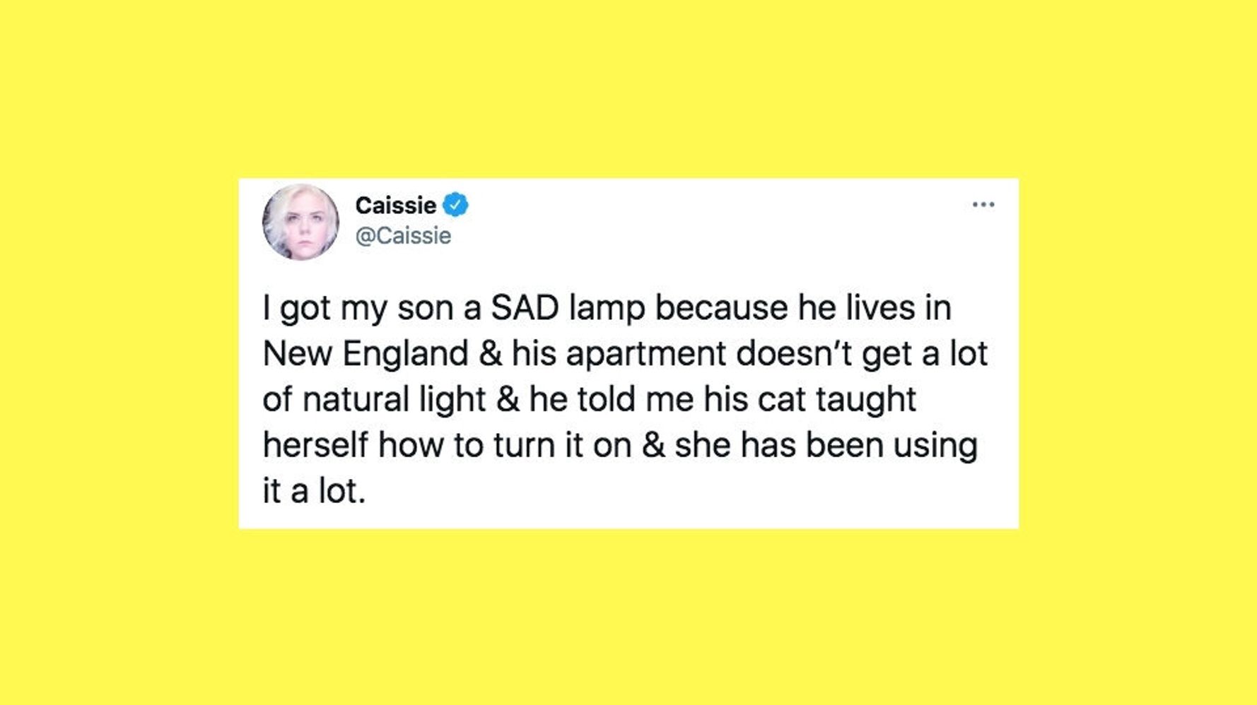 60147ede4100005b0042db1a