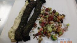 601cde72250000e20b7918cd