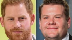 601e8dbf260000ca0c275ea7