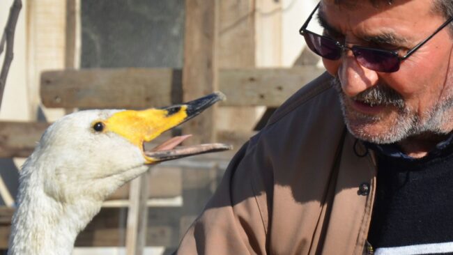 602166712600001e0bc238d7