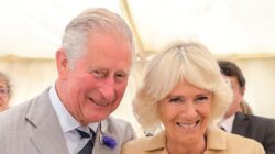 6023fb1e250000581591b3f1