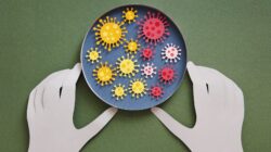 602e710e240000a002cbc440