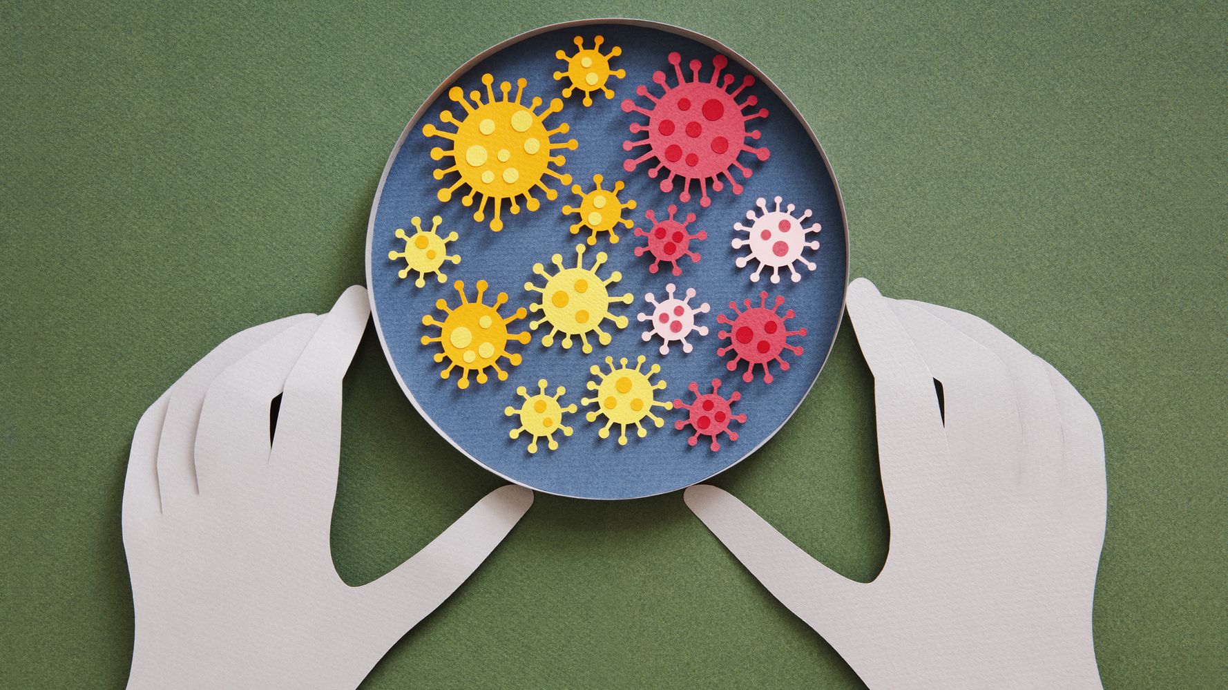 602e710e240000a002cbc440