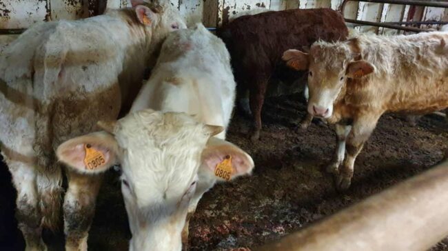 603a7e0026000038087f7842