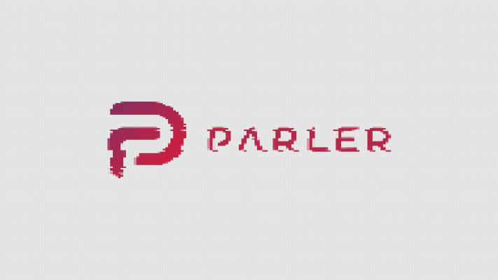 parler glitch 01