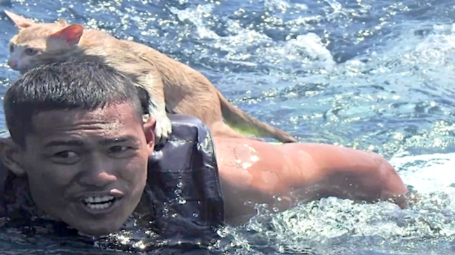 6041ddab260000610a7f80b0