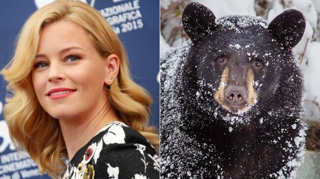 6048145d250000380084d43b