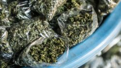 604a15602600000908d84fc7