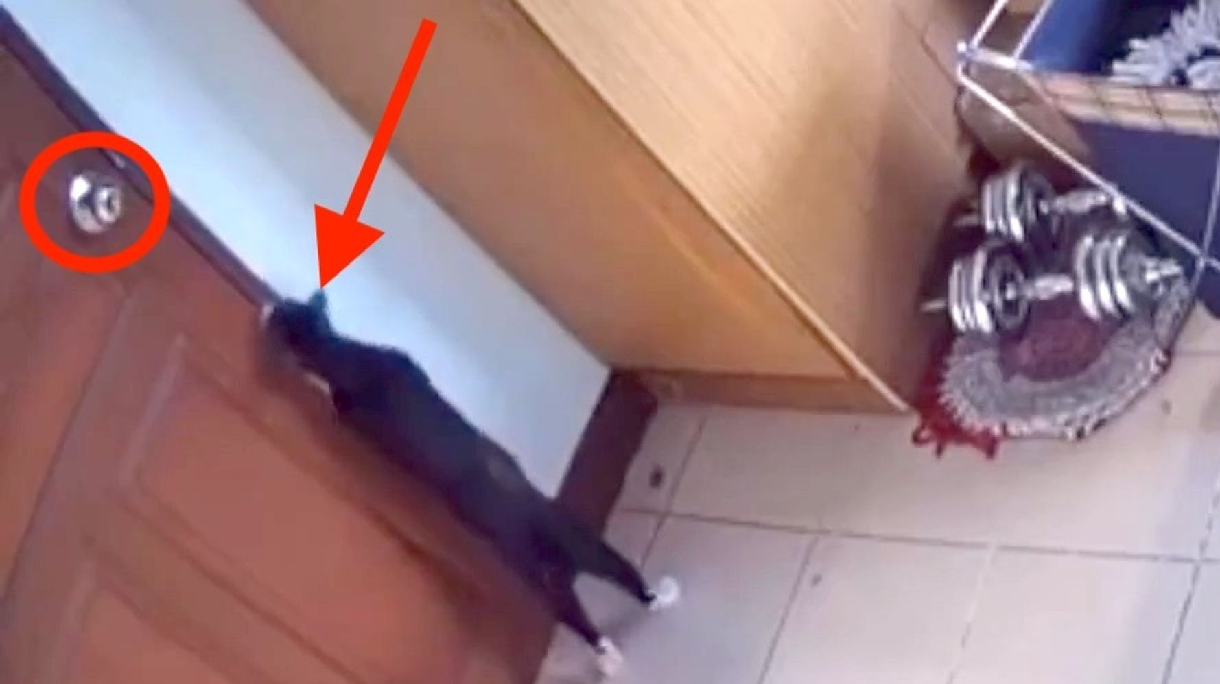 60505a572400005d0025ef0a