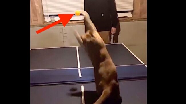 6052f52a240000710725f236