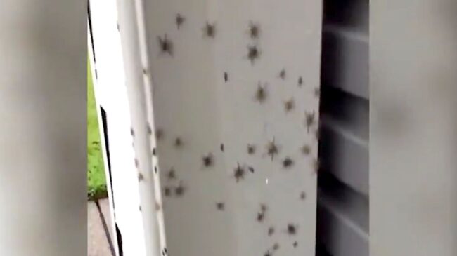 60595efc250000a6081d916f