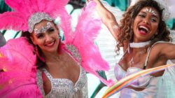 605acfa2250000151e1d9355