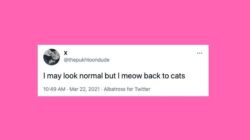 605e5318390000250eeb2469