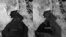 605f138e390000d71feb24c8