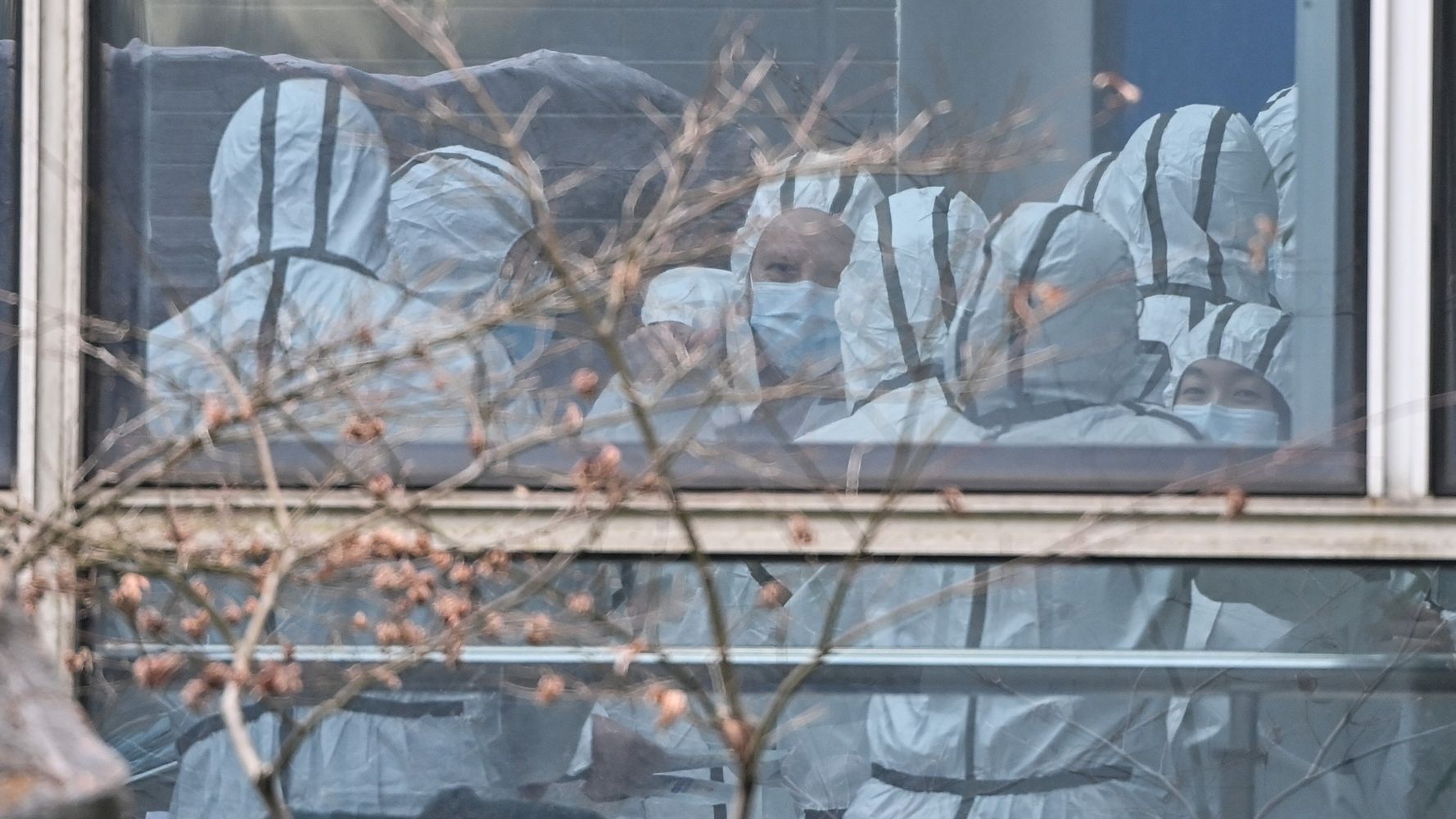 6061708825000000261d99d4