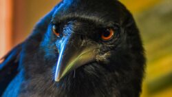 6061ee30240000cb1826010d