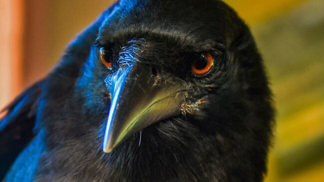 6061ee30240000cb1826010d