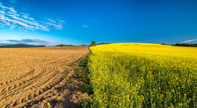 Regenerative agriculture is the next great ally in fight against climate change – TechCrunch 1 GettyImages 1237776389