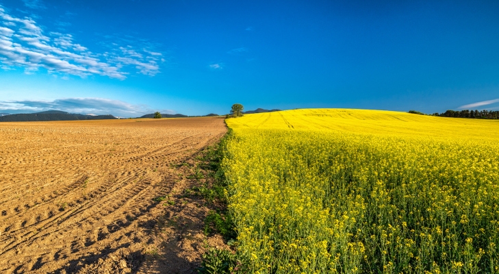 GettyImages 1237776389