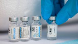 60654d8c1e0000db020fe1f1