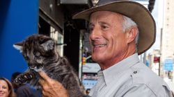 606dfc222400000440260c81