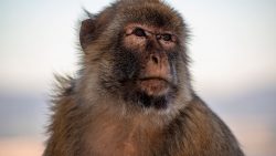 60717c2c2600006000b4040a