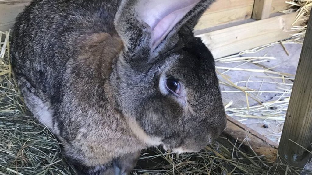 6075c95f21000037007ef065