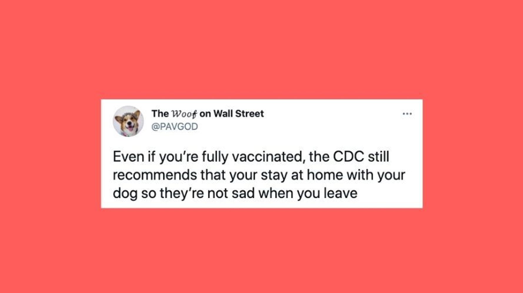 6079cfd21e0000c8270ff6d1