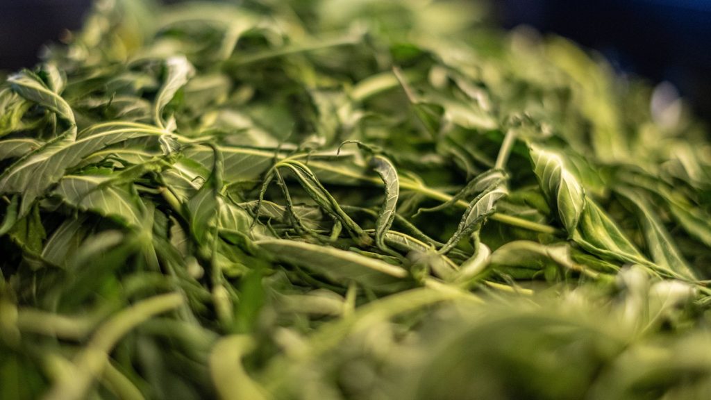 607df502260000d521b40fef