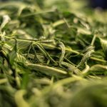 607df502260000d521b40fef