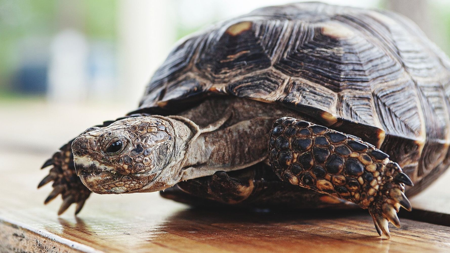 60819553260000c02bb41496