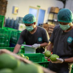 Indonesian agritech platform TaniHub Group harvests a $65.5M Series B round – TechCrunch 3 23