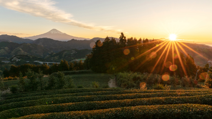 GettyImages 1215506236