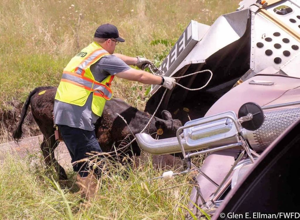 2ff544c67997c444fbd6d4e54984cb3e