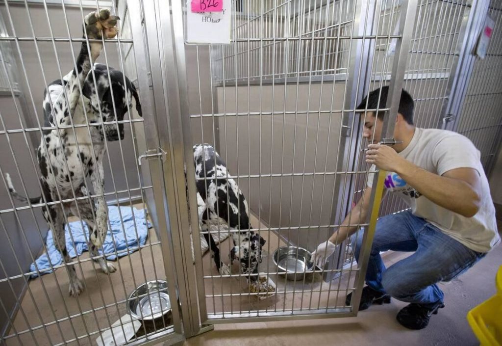 b19c15ab66c7b1c28108aeadab996219