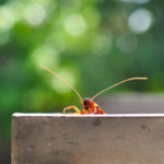 The DL on CockroachDB – TechCrunch 7 shutterstock 232681879