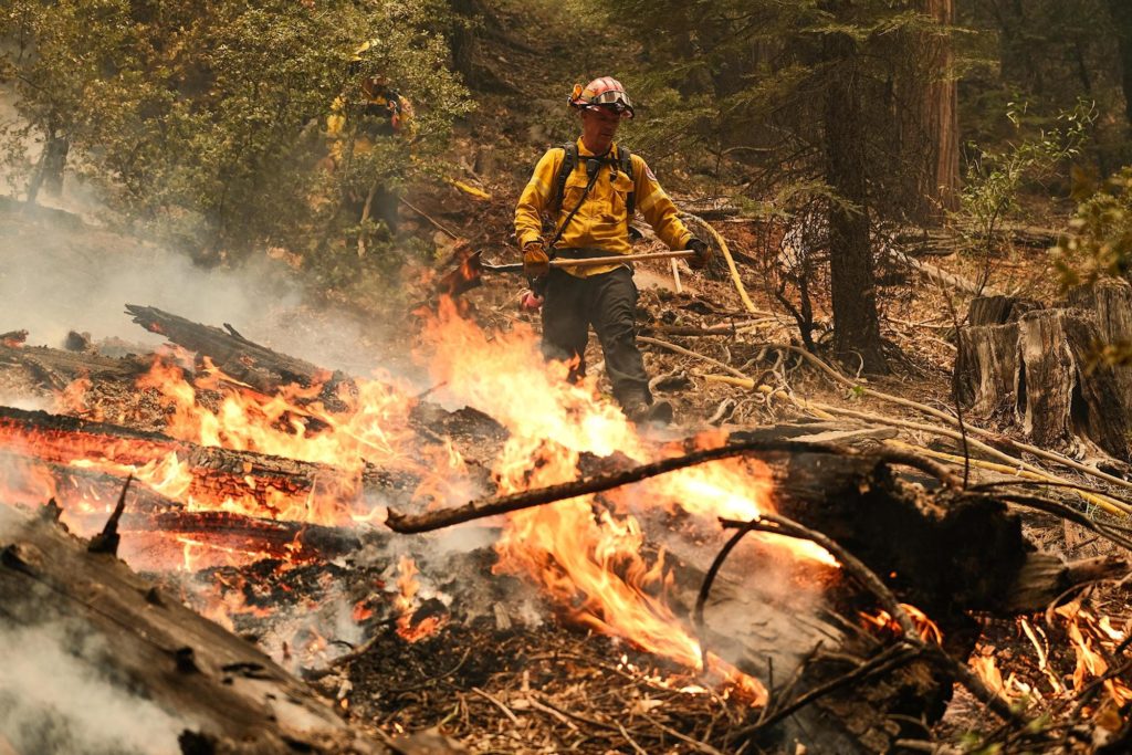 60e976836dc06dc0f375a199e02df374