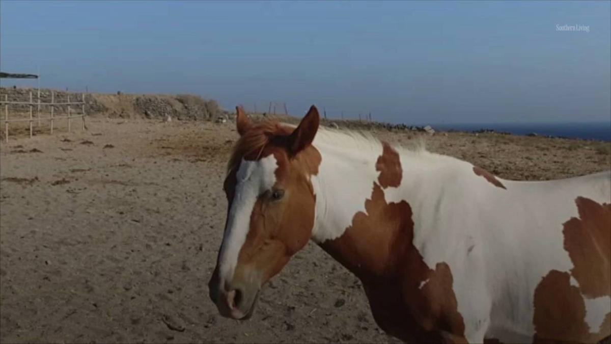 612e970a2f6b901586a38715 o U v2