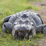 a27194fcecccd63434171097d0b5189b