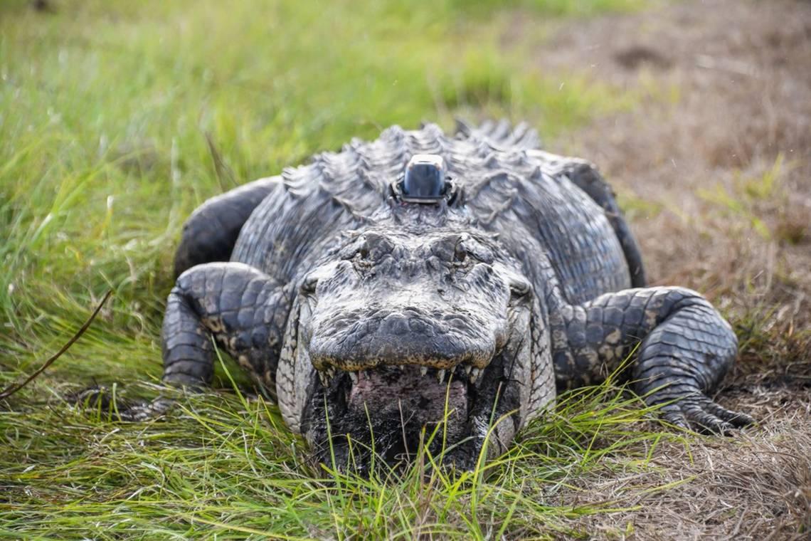 a27194fcecccd63434171097d0b5189b