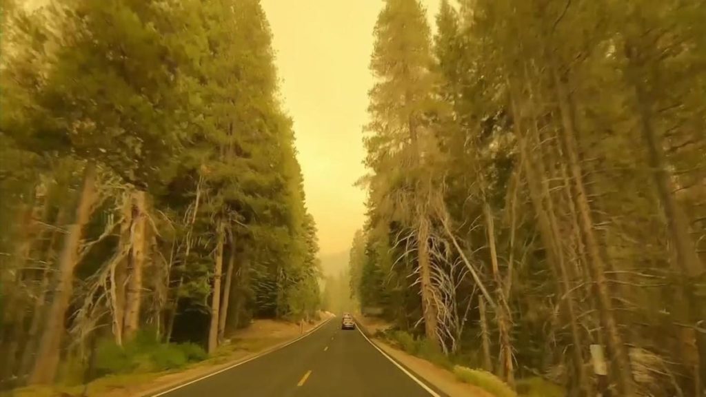 6145e14e4406c810d81b96f2 o U v2