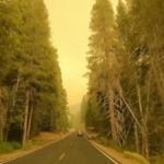 Fire crews keep up drive to protect sequoias 3 6145e14e4406c810d81b96f2 o U v2