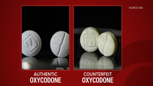 6153c7a405530c31008f14d4 o U v2