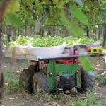 Burro raises $10.9M for autonomous produce field transport – TechCrunch 3 Burro SP 3 8 23 2021