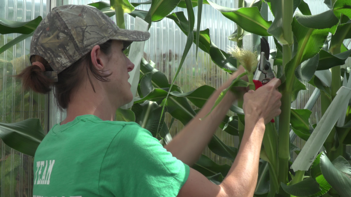 footage.00 00 48 02.Still001 3 1