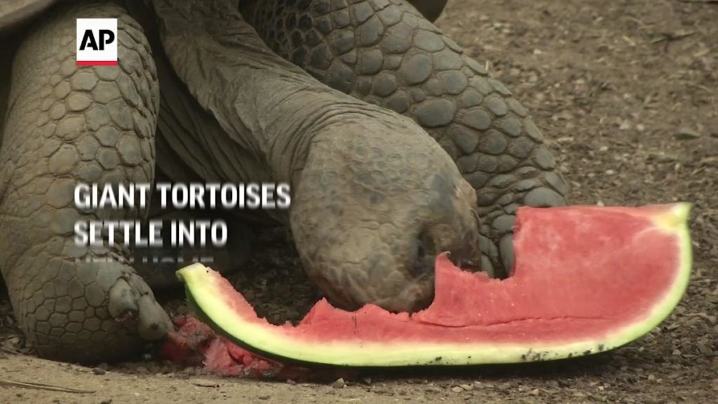 61602c65309e6d28efceb9d4 o U v2