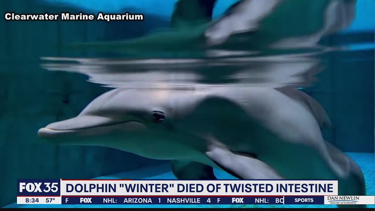 6191279e7cfab42a9c311da2 o U v2