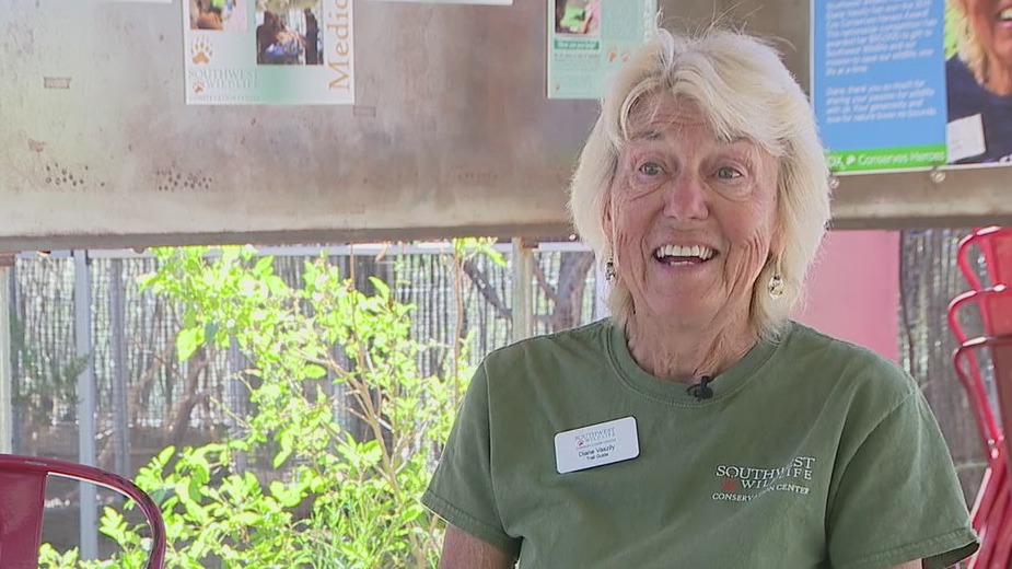 6191b484709d502ad523b8c7 o U v2